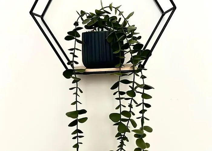 Casa Zoe Apartamento Turín