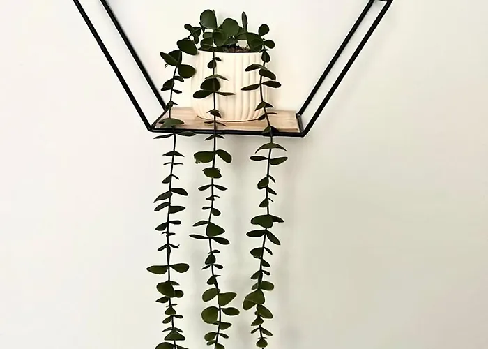 Casa Zoe Apartamento *