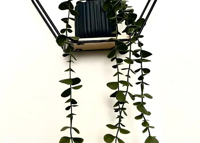 Διαμέρισμα Casa Zoe *