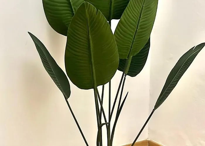 Διαμέρισμα Casa Zoe *