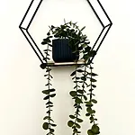 Casa Zoe Apartment Turin