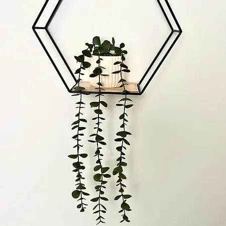 Casa Zoe Appartement *